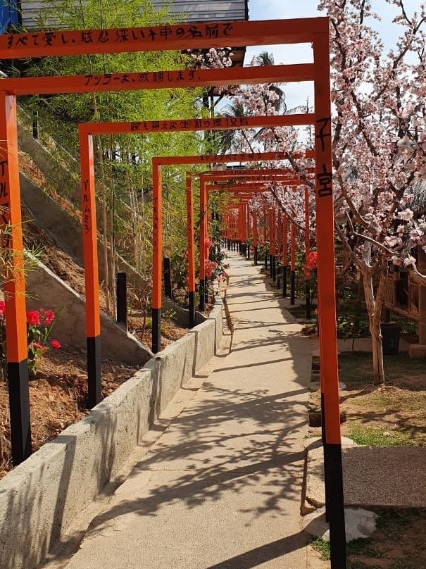 Bukit Sakura景点图片