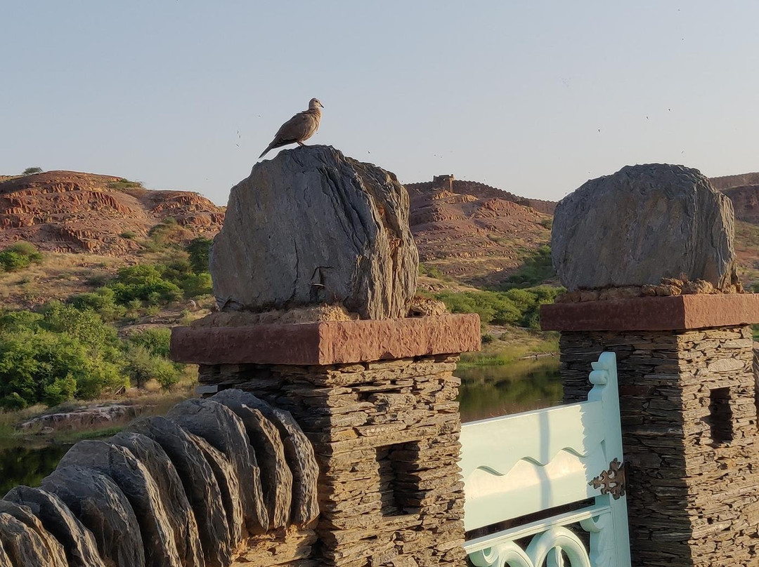 Rao Jodha Desert Rock Park景点图片