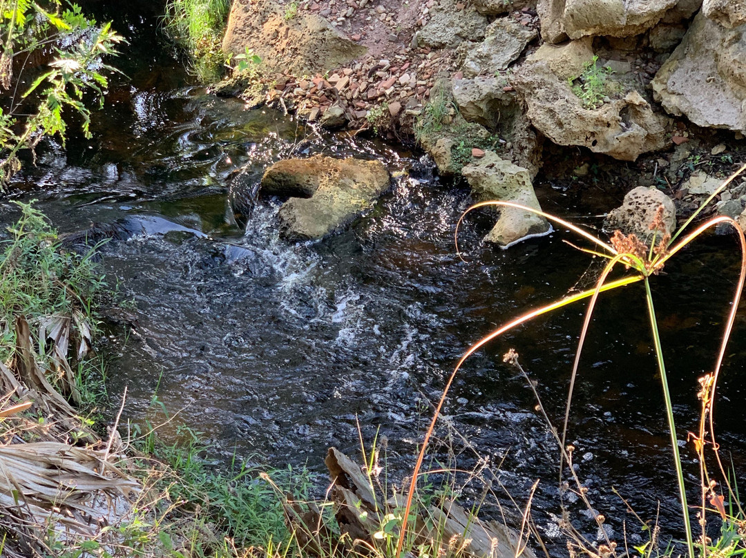 Cullum’s Bonita Trail-博尼塔斯普林斯必去景点