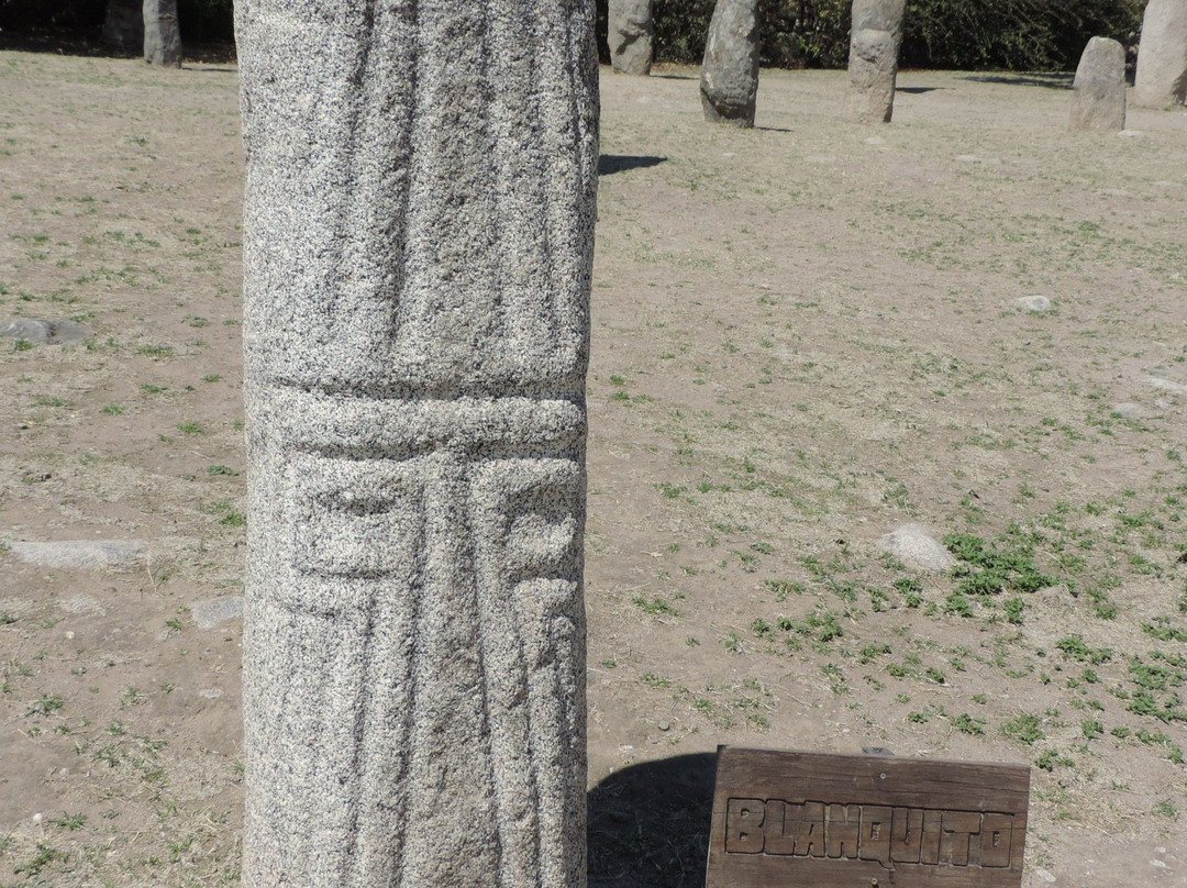 Archaeological Reserve Menhires景点图片