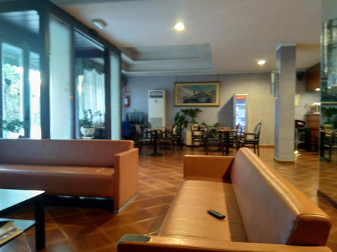 维也纳酒店主图