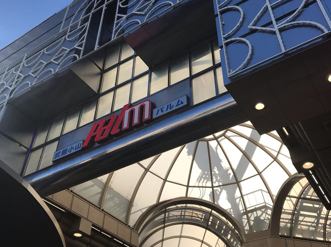 Musashi Koyama Shopping Street Palm-品川区必去景点