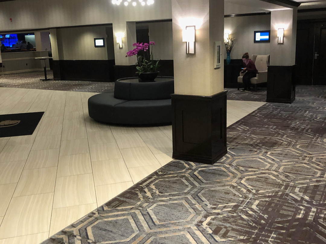 普林斯顿希尔顿逸林酒店主图