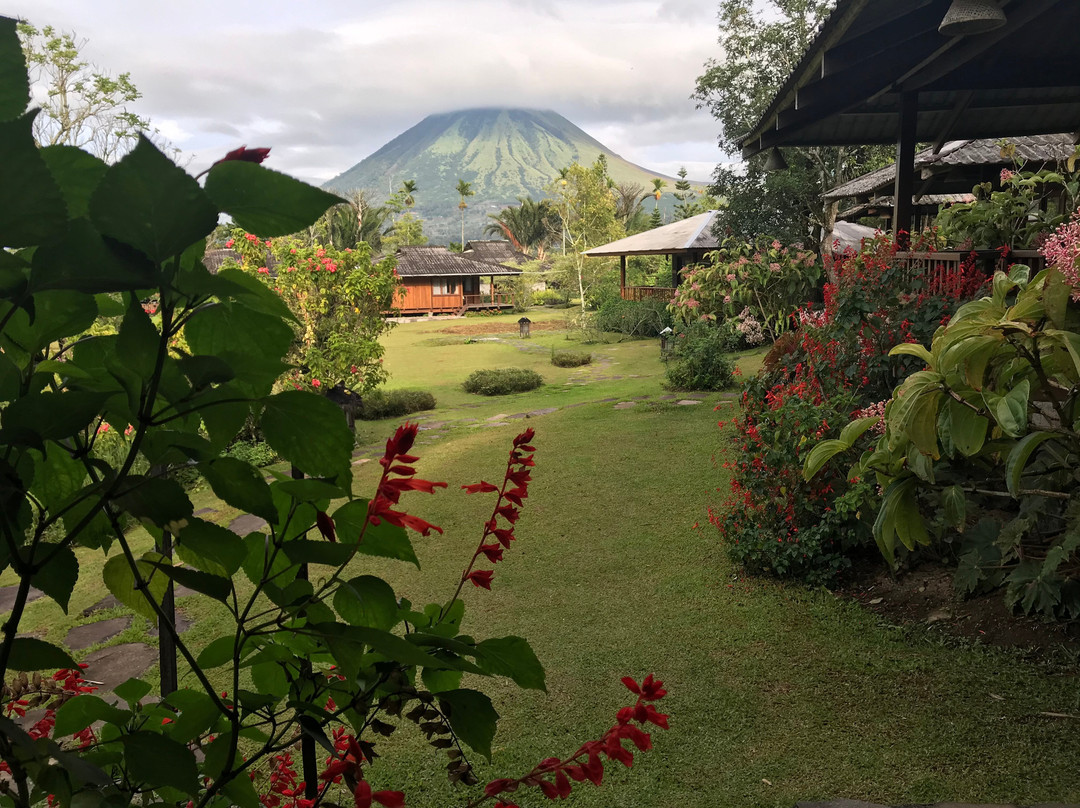 Gardenia Country Inn主图