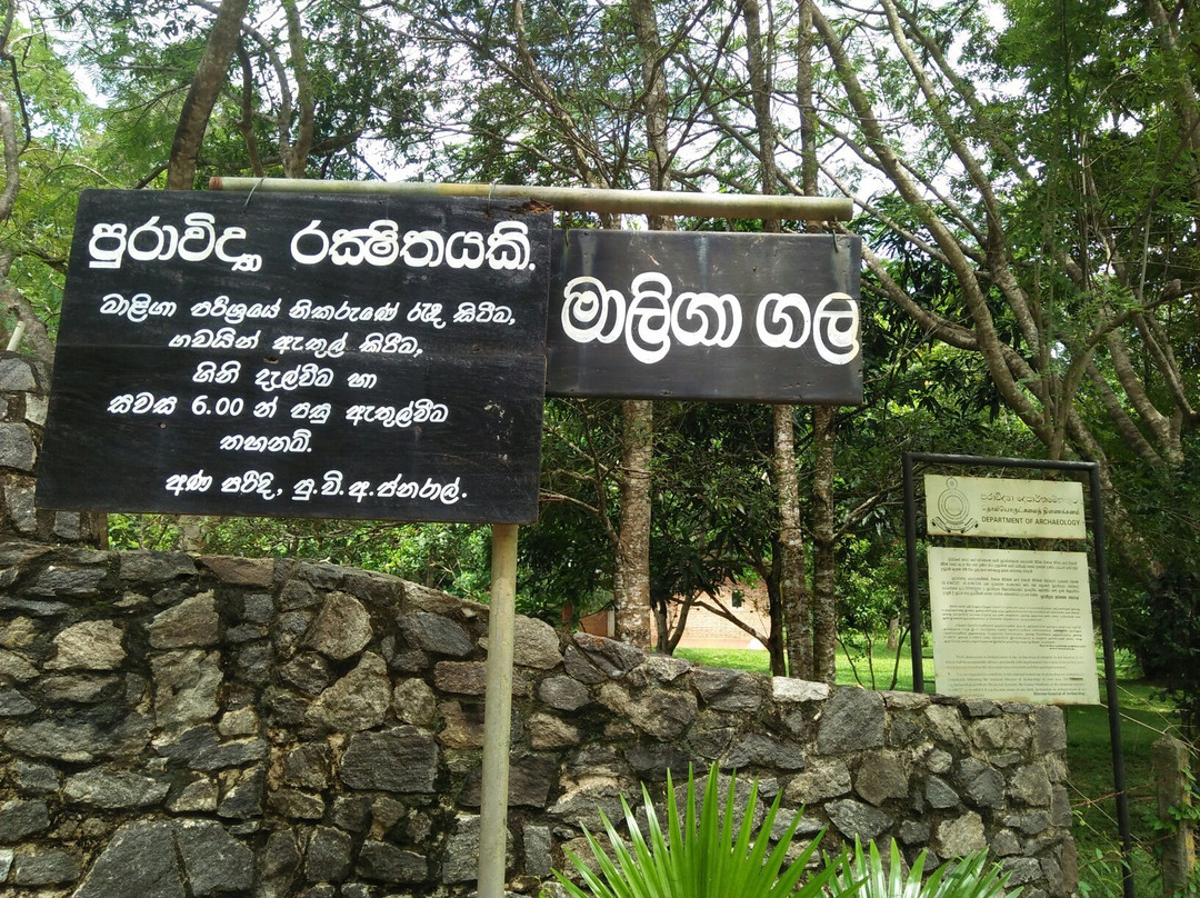 Dambadeniya Maliga Gala景点图片