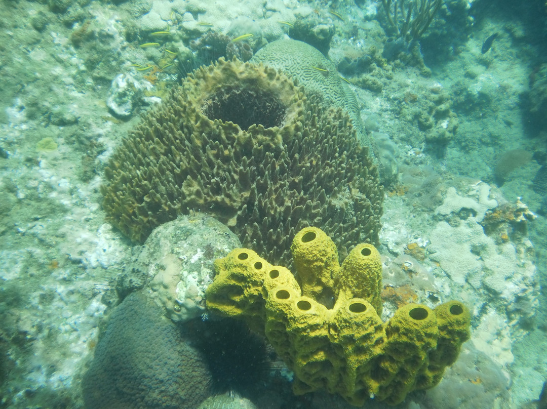 Puerto Rico Technical Diving Center-吕康必去景点
