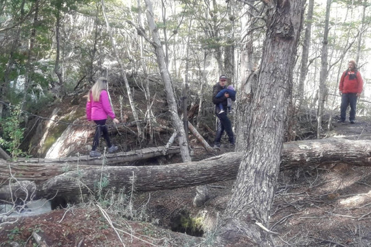 Tierra del Fuego Aventura-乌斯怀亚必去景点