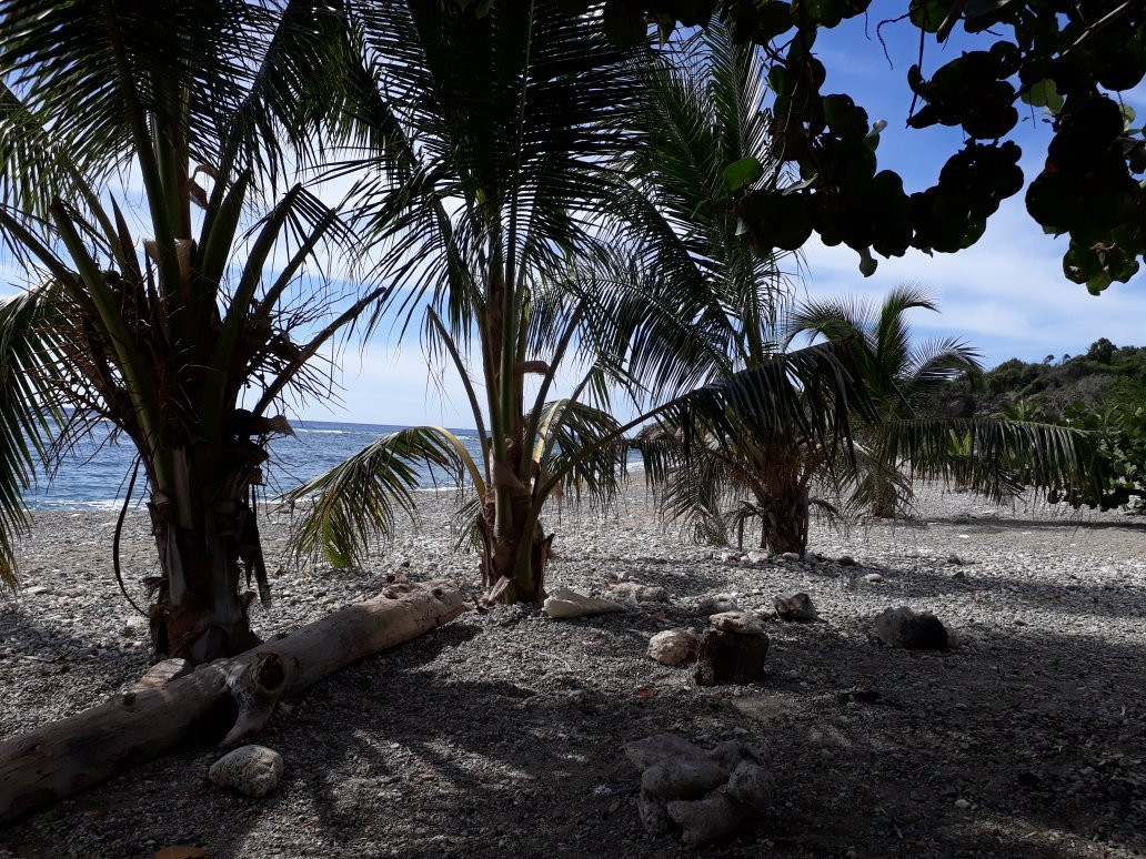 Playa El Verraco景点图片