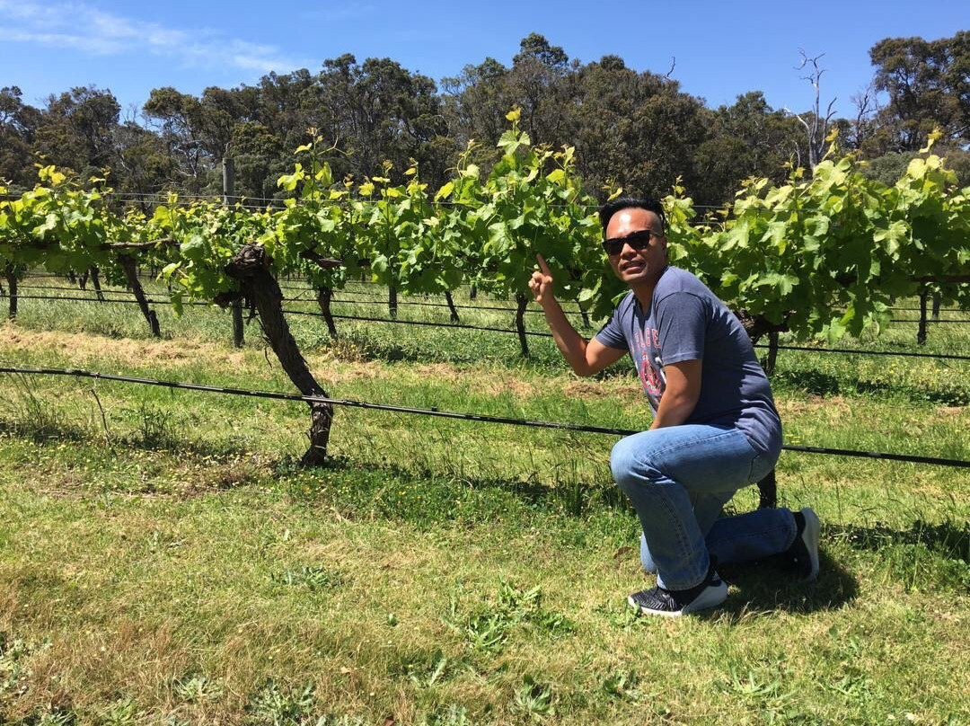 Margaret River Winemakers景点图片