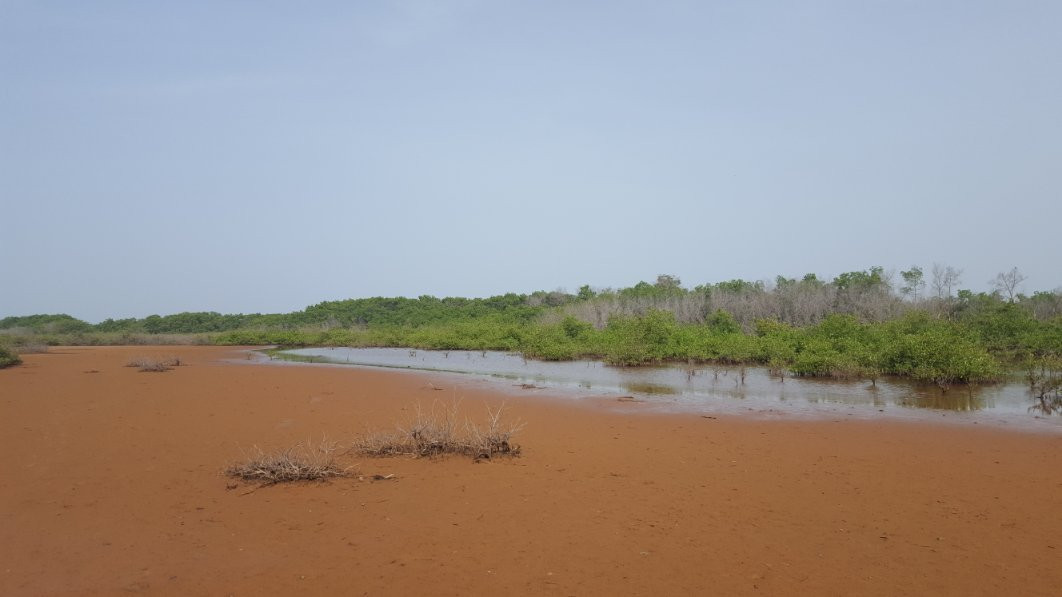 Gambia Kayaking景点图片
