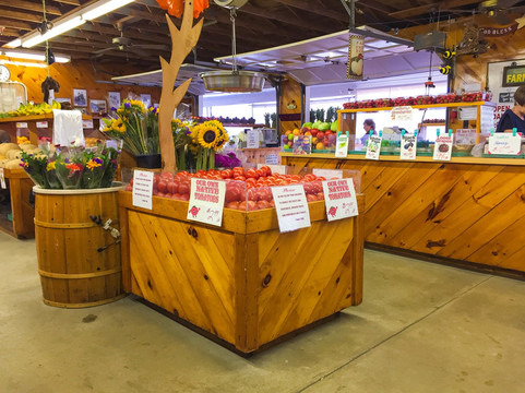 Almeida's Vegetable Patch-Swansea必去景点