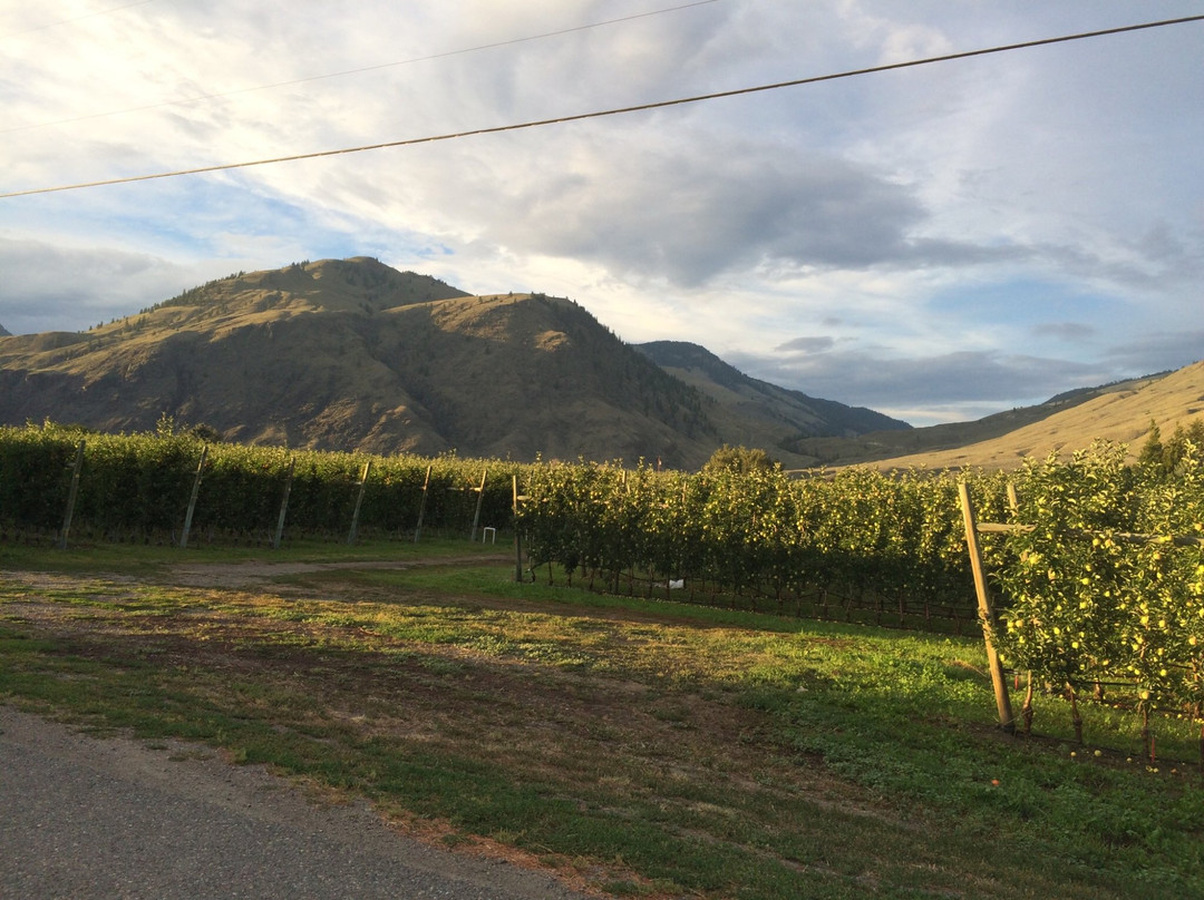 Crowsnest Vineyards景点图片
