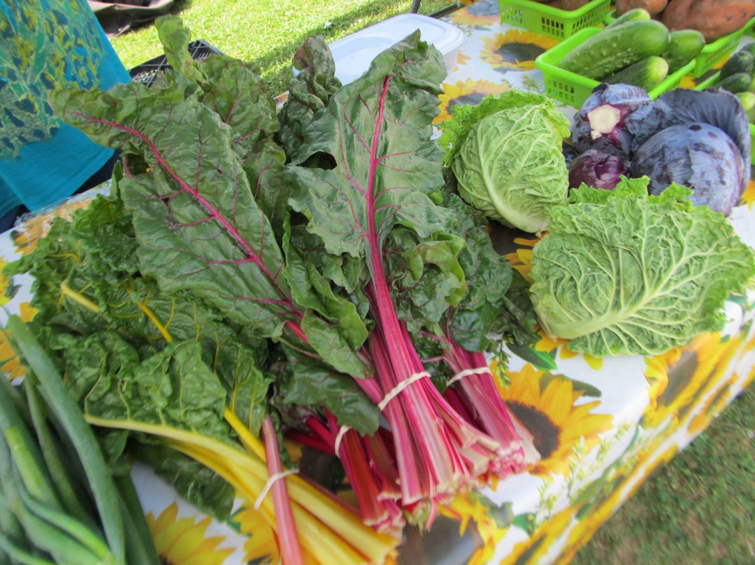 Port Rowan Farmers' Market景点图片