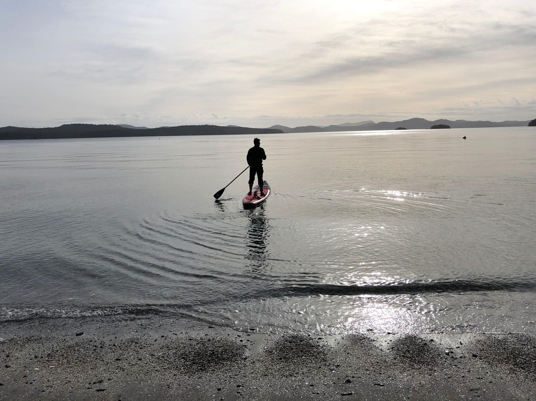 Salt Spring Island Paddle Board Company景点图片