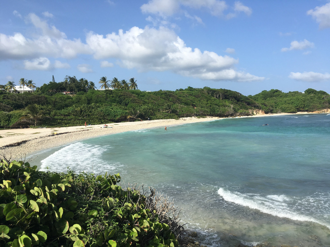 Poyo Surf Club-Le Moule必去景点