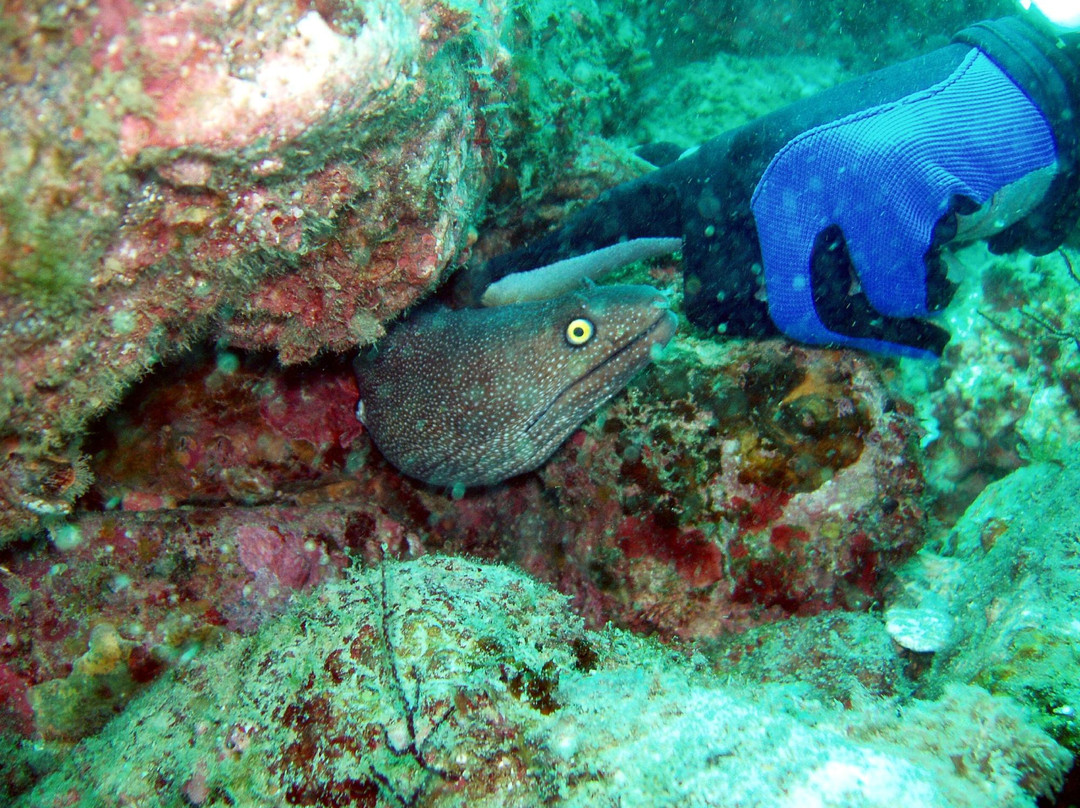 Gary's Dive shop-圣卡洛斯必去景点