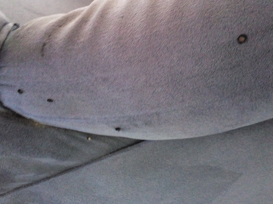 Hotel Terranova Suites主图