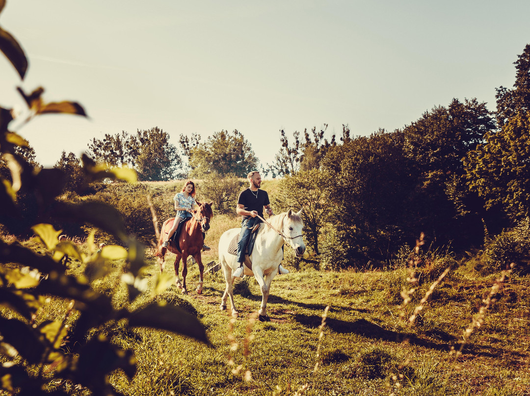 Horse riding club "Tempo"-利沃夫必去景点