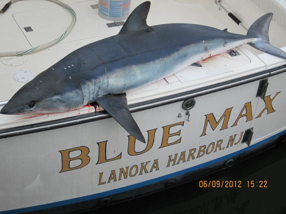 Blue Max Sportfishing景点图片