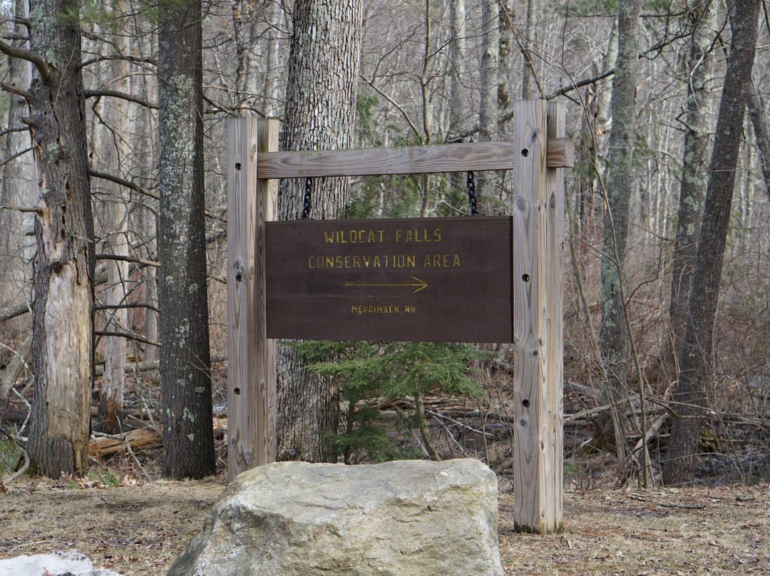 Wildcat Falls Park and Conservation Area景点图片