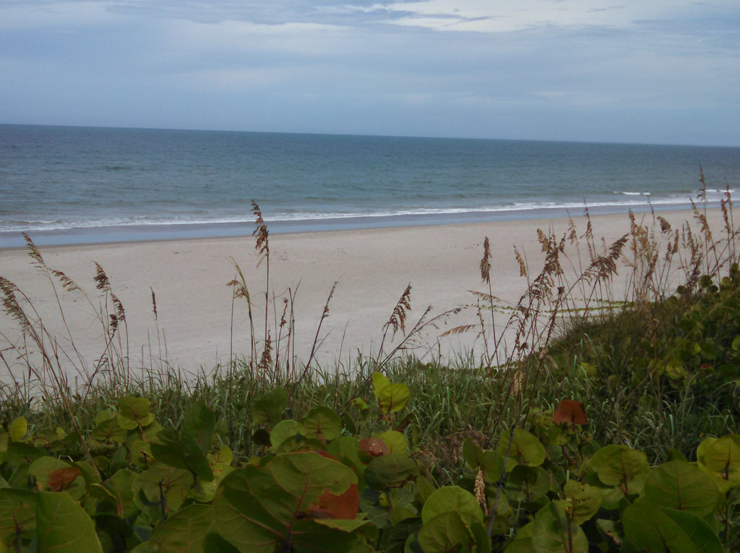 Spessard Holland South Beach Park景点图片