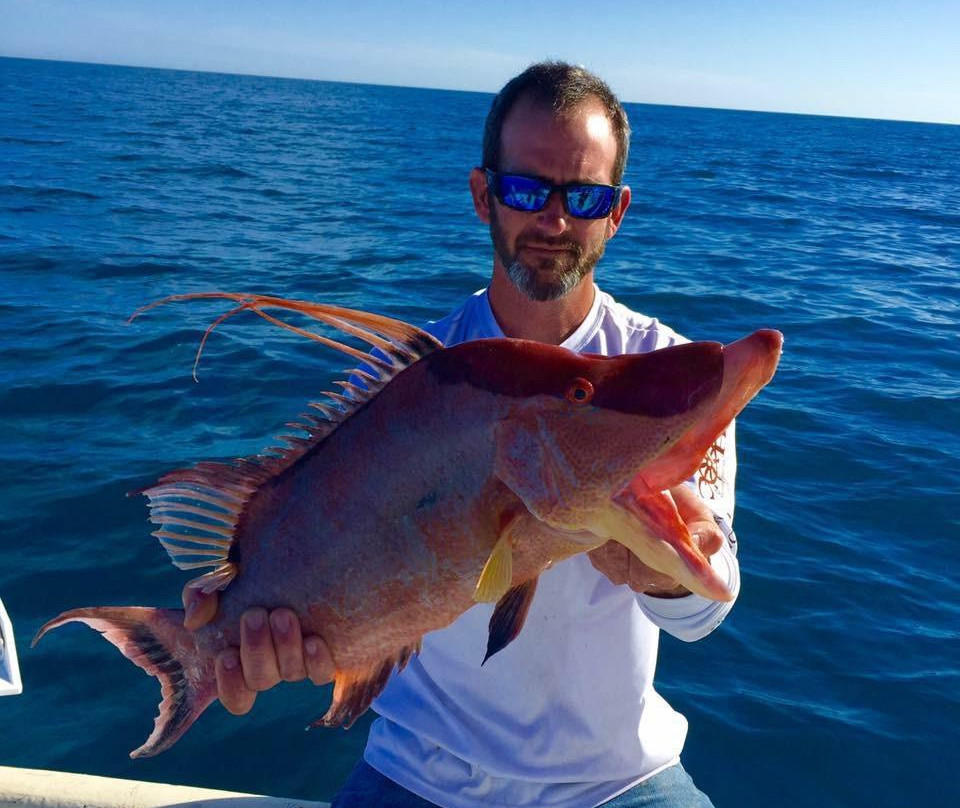 RippinLips, LLC-Holmes Beach必去景点