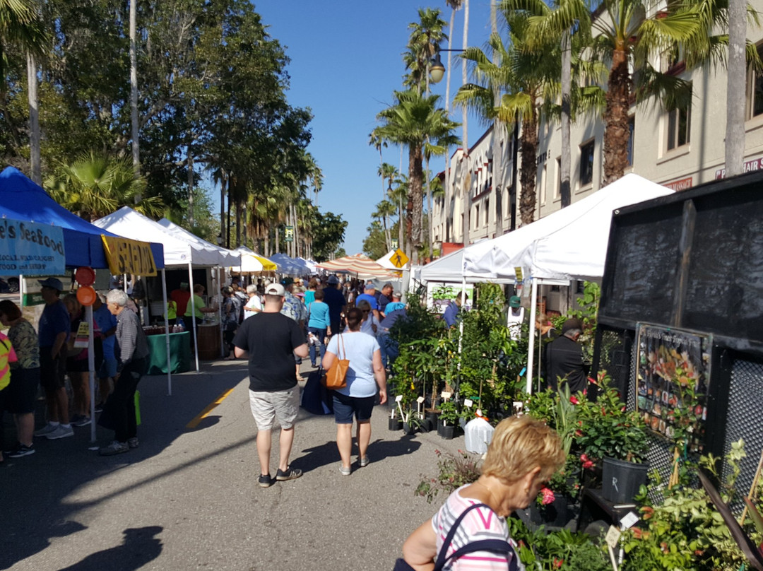 Venice Florida Farmers Market-威尼斯必去景点