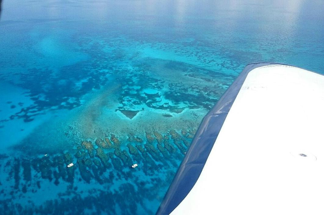 Duck Key Charters-Duck Key必去景点