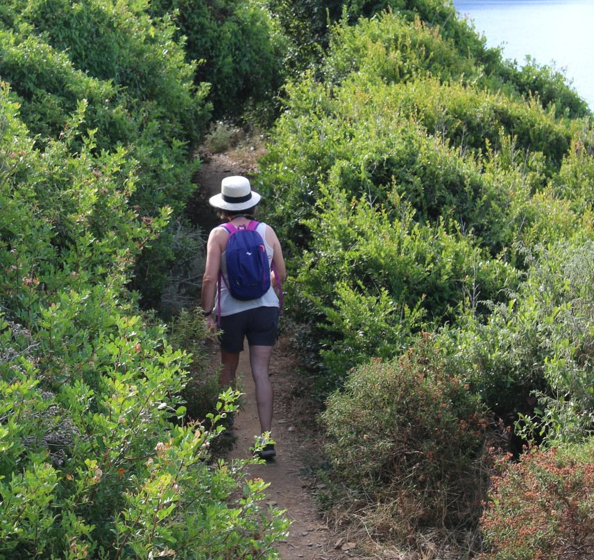 Tour d'Albo-Ogliastro必去景点