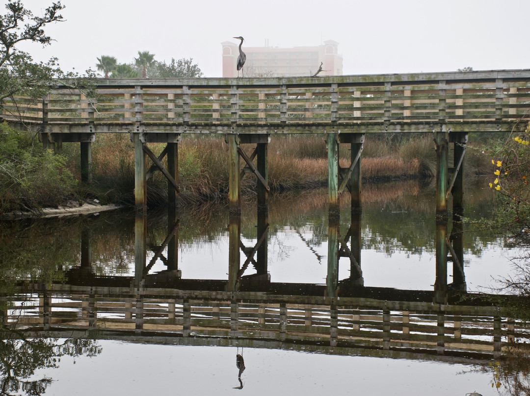 Wade Ward Nature Park