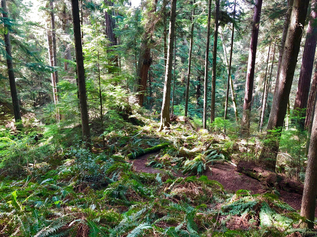 South Whidbey Island State Park景点图片