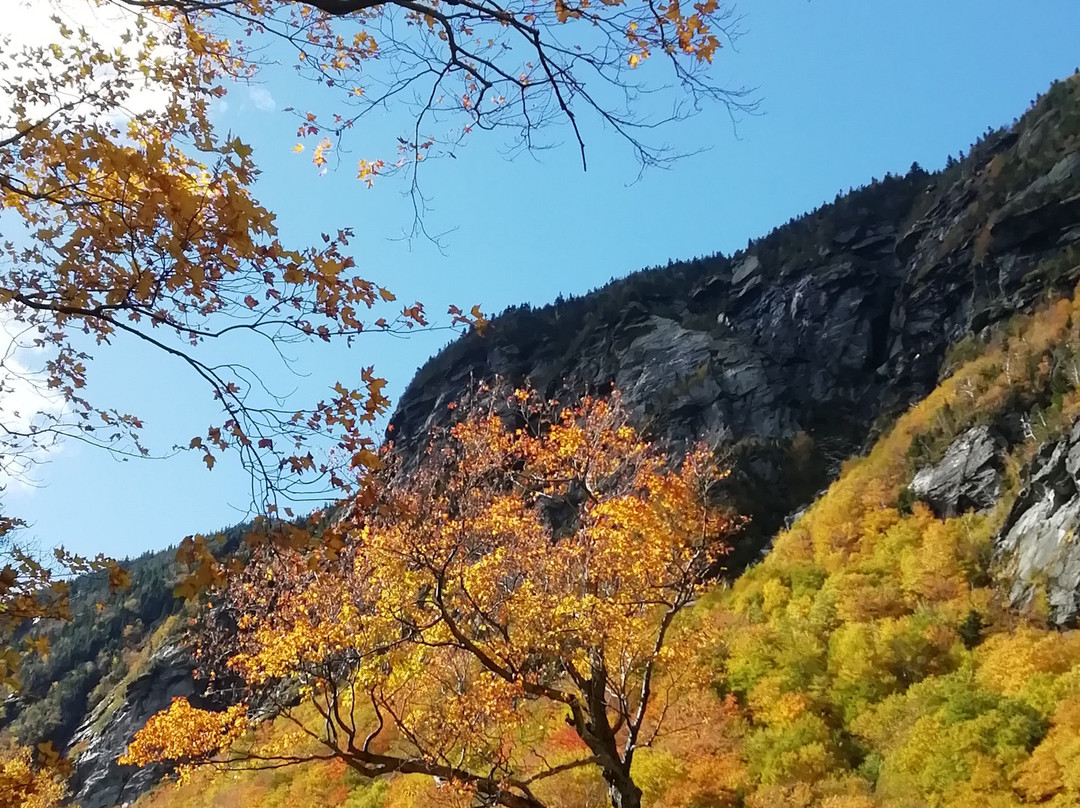 The Waitsfield Inn主图