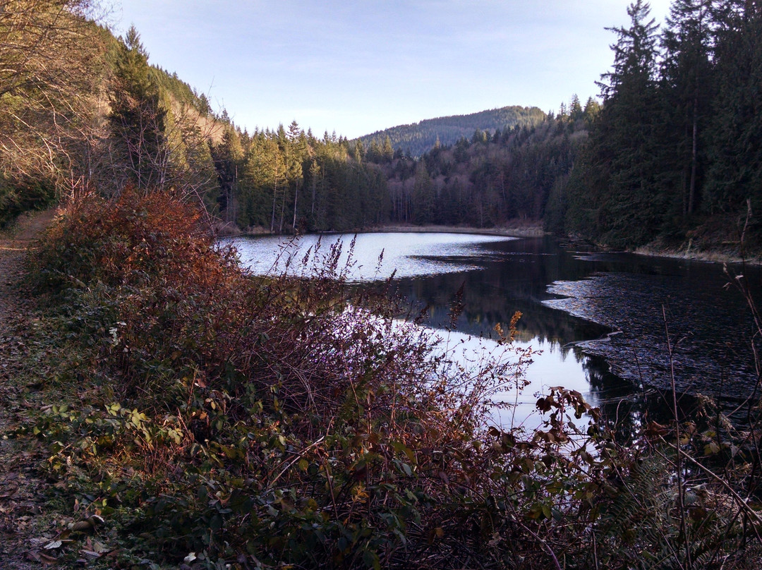 Squires Lake Park景点图片