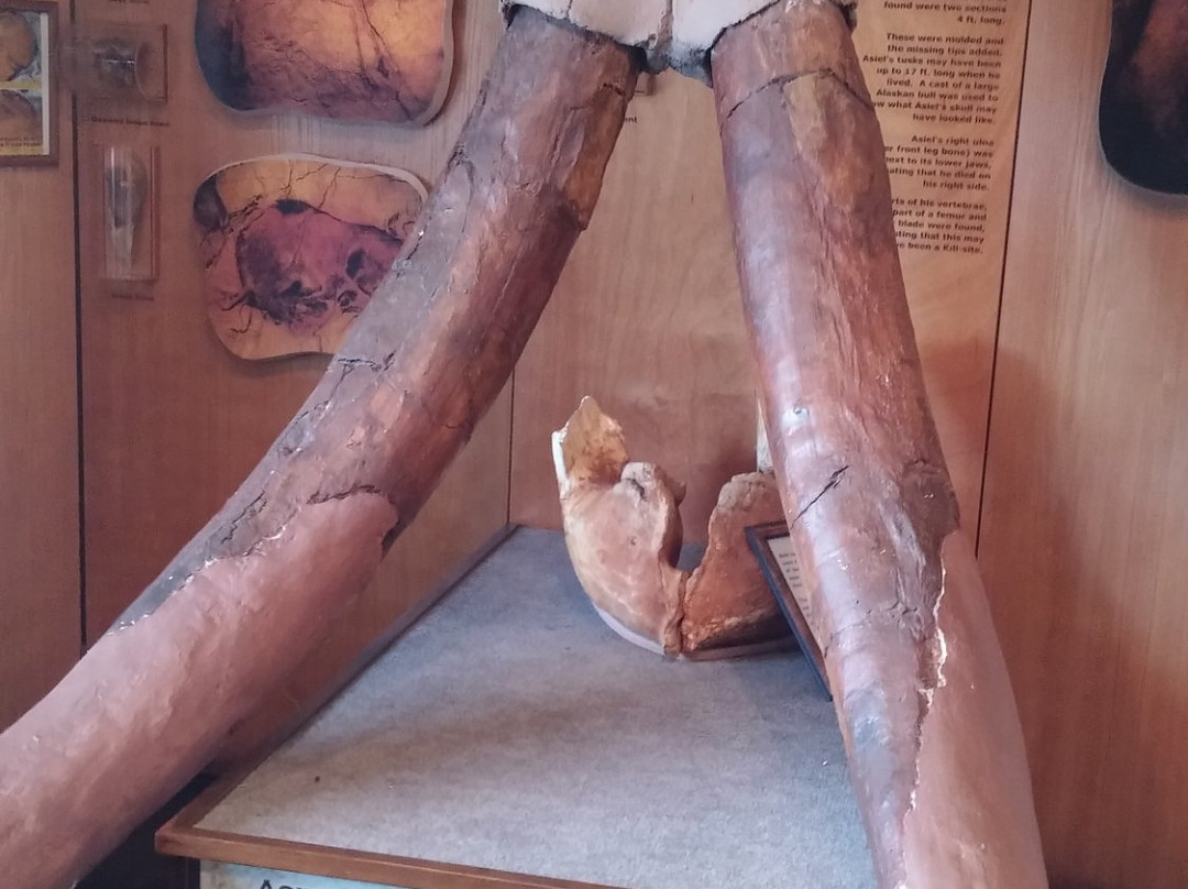 Mammoth Lake Dive Park-Lake Jackson必去景点