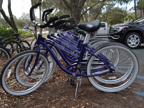 Island Life Bike Rentals & Dolphin Tours