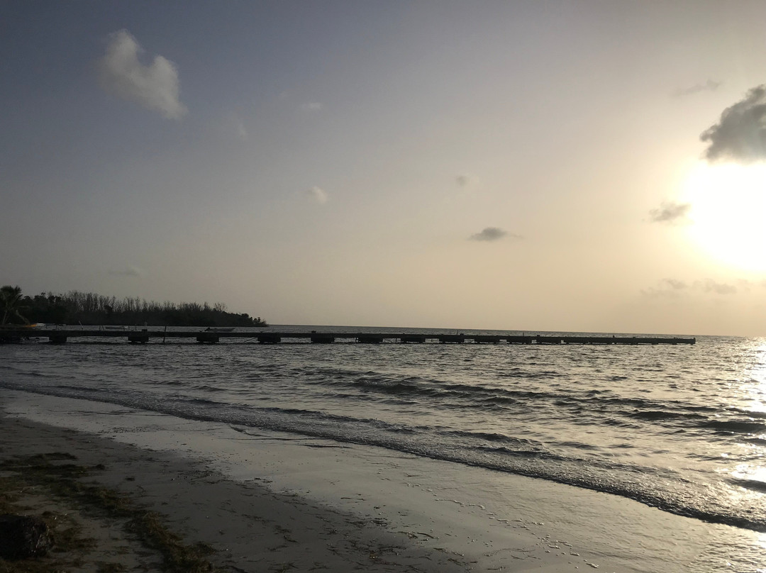 Playa Los Machos-Ceiba必去景点