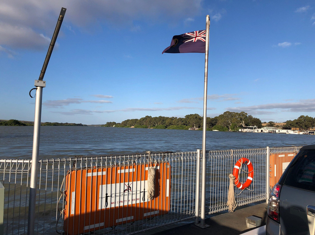 Mannum Ferry景点图片