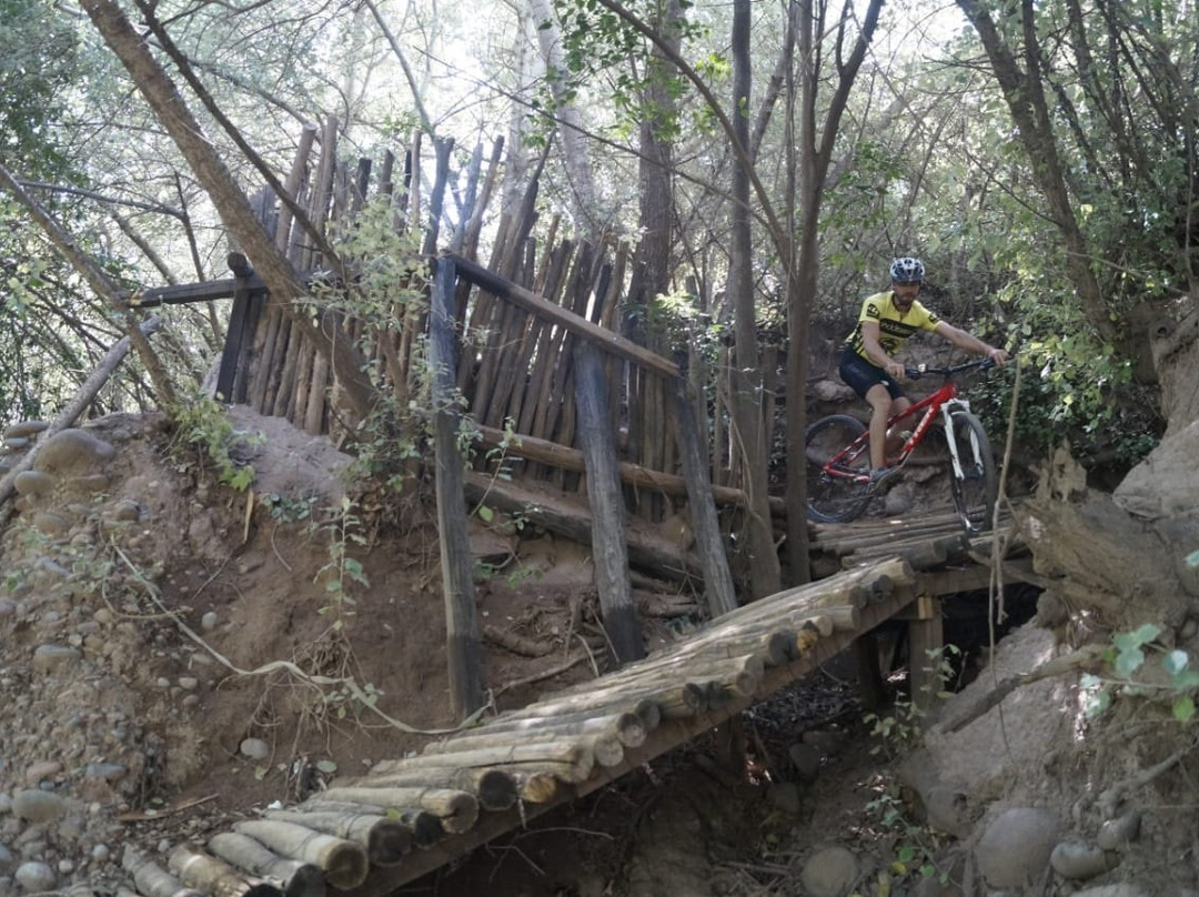 Rio Bike Park-路冉得库约必去景点