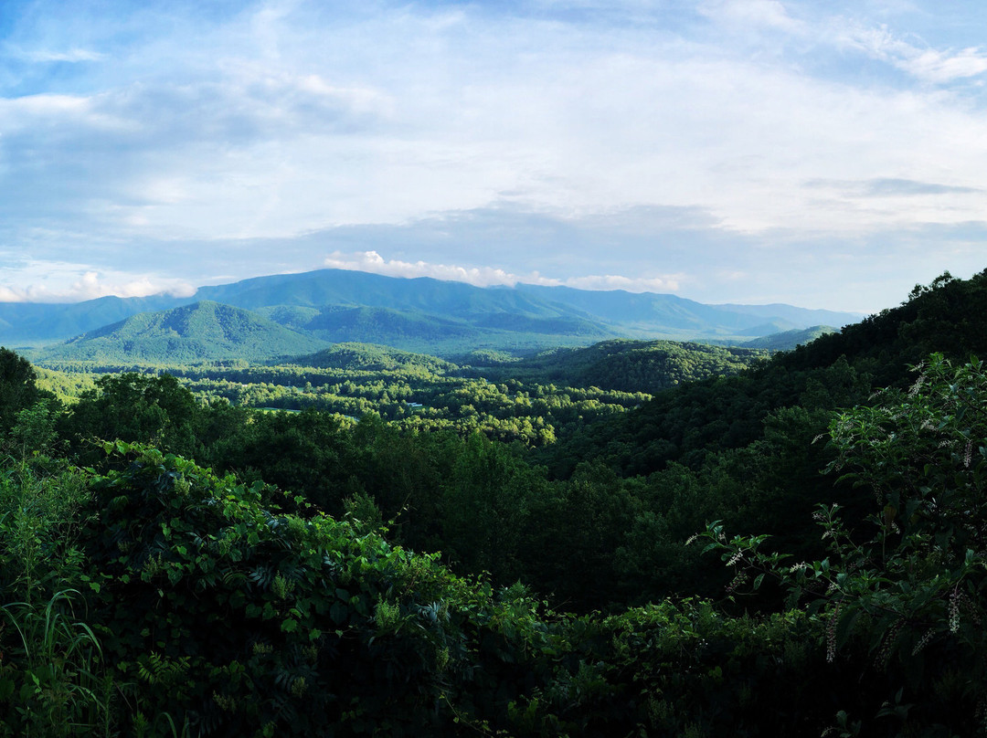 Creekwalk Inn at Whisperwood Farm主图