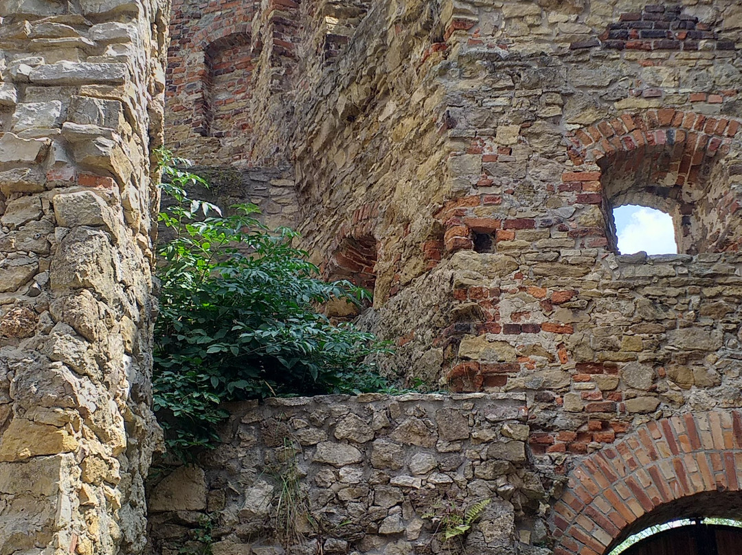 Castle of Siewierz景点图片