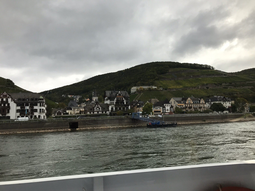 Rhine River Day Cruises-莱茵河畔宾根必去景点