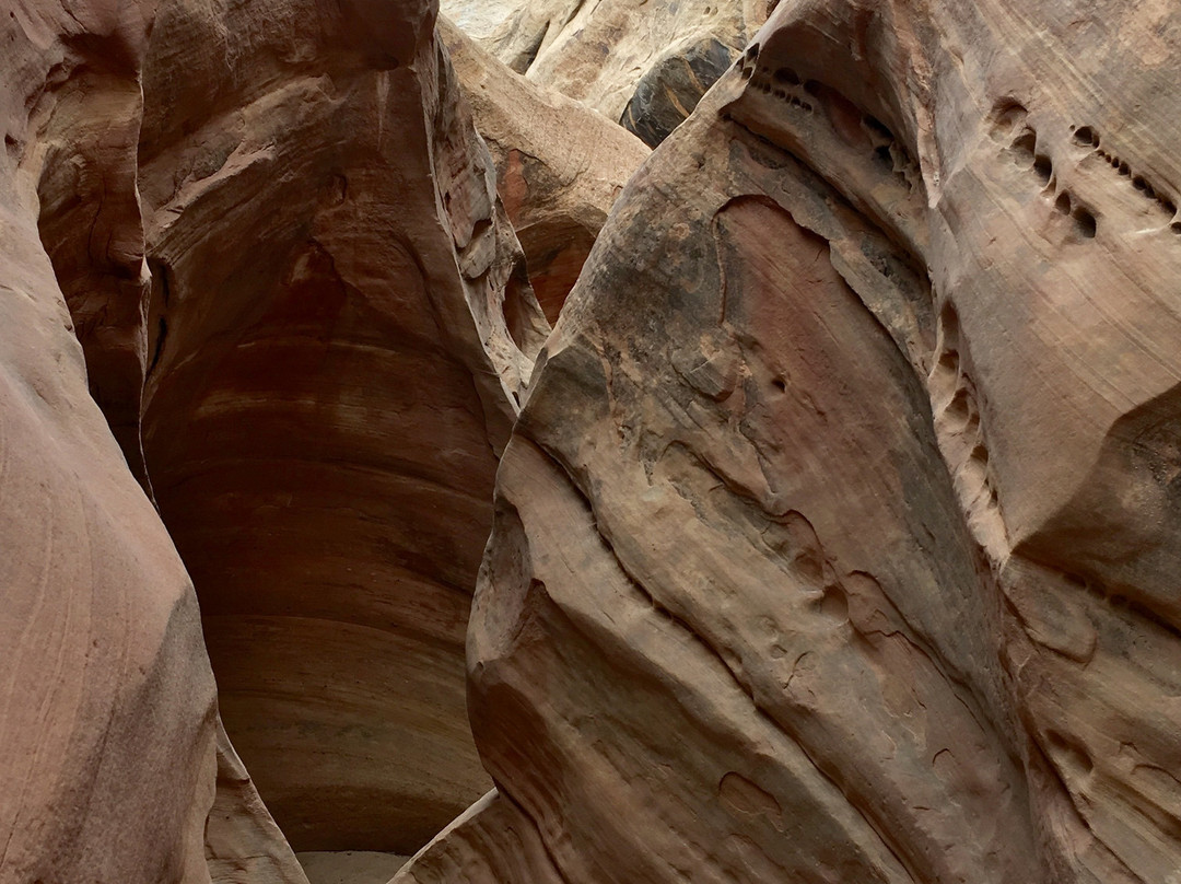 Little Wild Horse and Bell Canyon Trail-格林河必去景点