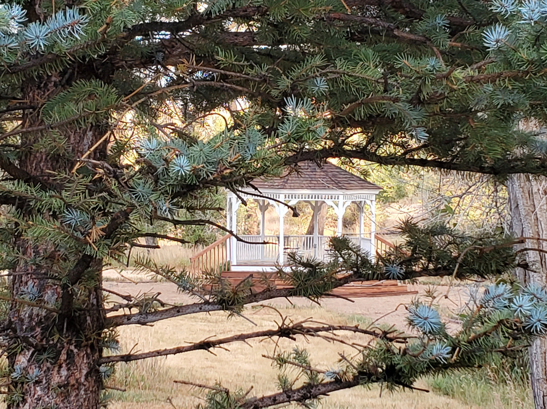 The Historic Elk Mountain Hotel主图