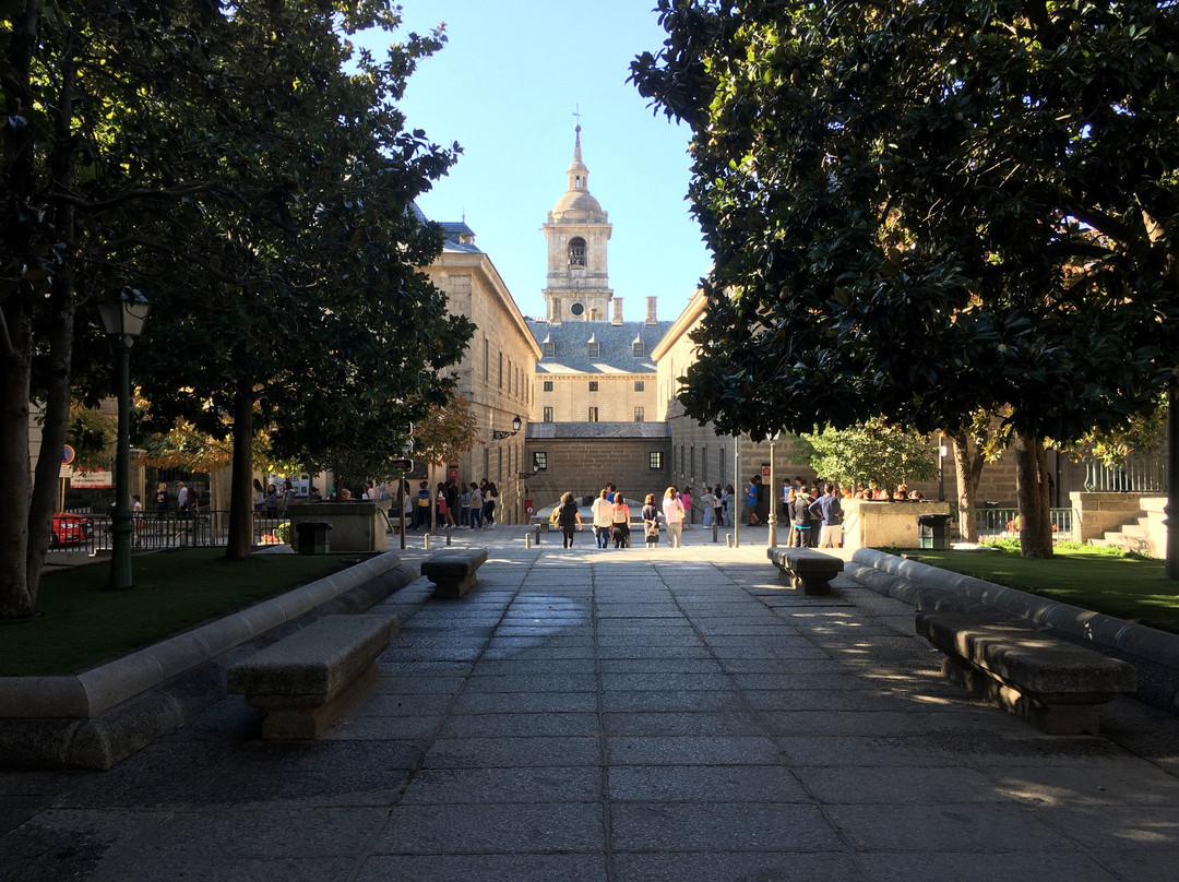 The Pack Language Experience in Madrid-马德里必去景点