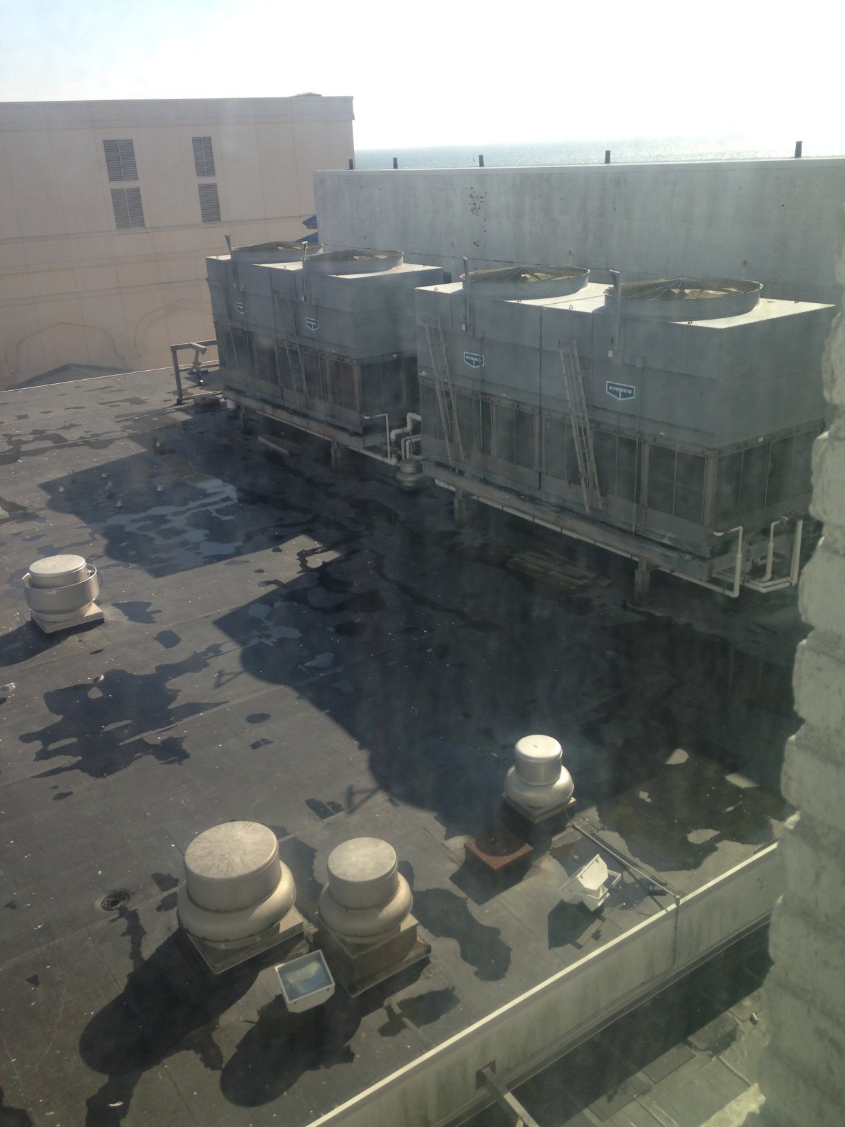 大西洋城赌场度假酒店-浴室