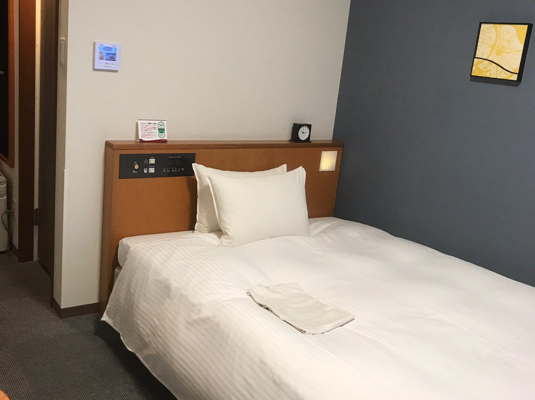 Richmond Hotel Miyazaki Ekimae主图