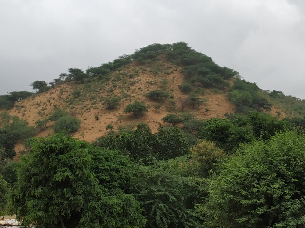 Sundha Mata Temple-Jalore必去景点
