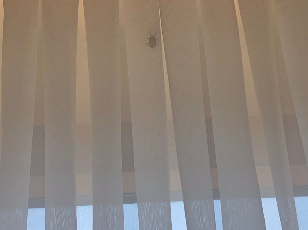 Akgun Elazig Hotel主图