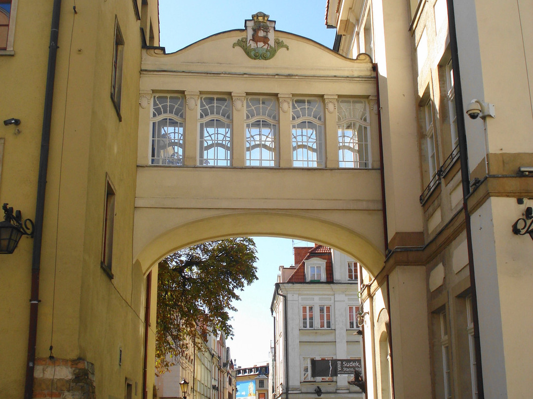 Plac Ratuszowy景点图片