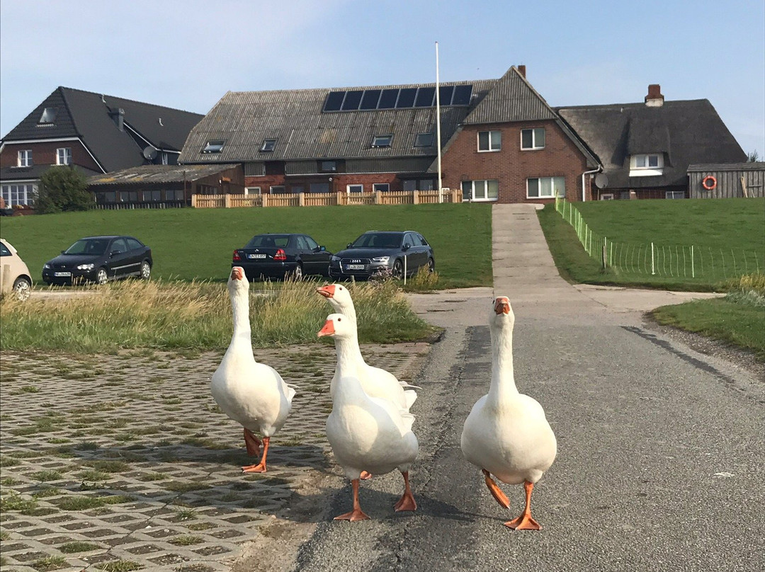 Hotel Anker`s Hörn主图